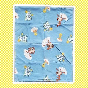 VTG 90s Looney Tunes Curtin Panels Set of 2 Fabric Taz and Tweety Bird